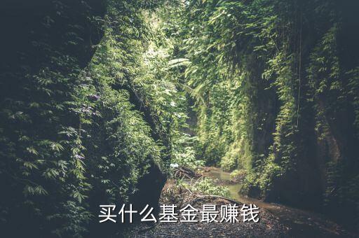 買什么基金賺錢，買什么樣的基金能賺錢