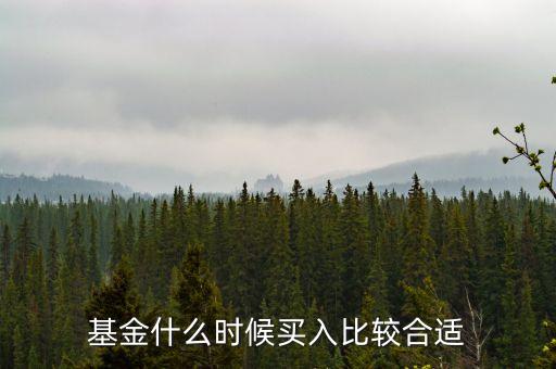 基金在什么時(shí)候買(mǎi)入，買(mǎi)入基金的最佳時(shí)機(jī)