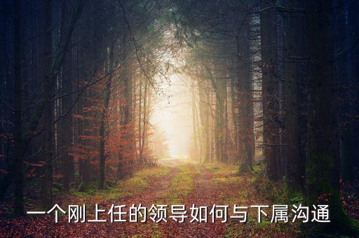 新任董事長應(yīng)該做什么，董事會換屆選舉怎么做