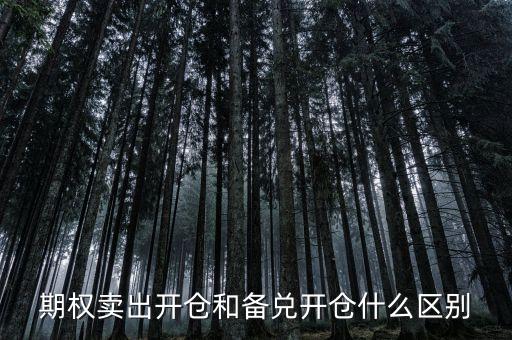 個(gè)股期權(quán)賣出開(kāi)倉(cāng)什么意思，賣出開(kāi)倉(cāng)是咋意思
