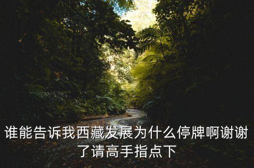 銀河投資什么時(shí)候復(fù)牌，銀河科技000806這個(gè)股票為什么連續(xù)停牌