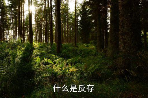 銀行倒存是什么意思，返存是什么