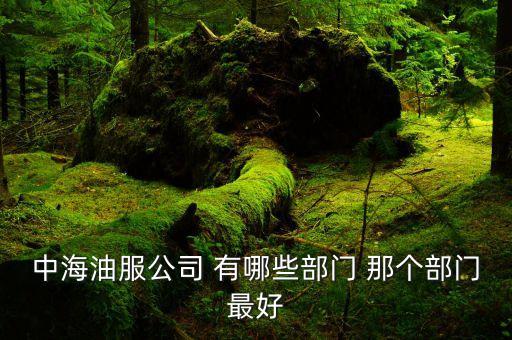 中海油什么部門好，中海油服公司 有哪些部門 那個部門最好