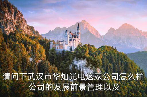 300323華燦光電是干什么的，蘇州華燦光電工作是流水線嗎