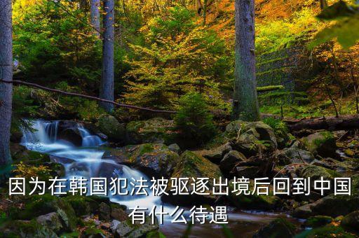 在國(guó)外犯罪逃回國(guó)有什么后果，逃犯持外國(guó)護(hù)照回國(guó)會(huì)怎樣