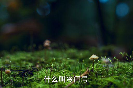 什么叫冷門股，楊子一老公叫什么名子