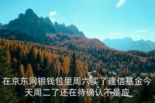 002378建信什么時(shí)候確認(rèn)份額，在京東網(wǎng)銀錢包里周六買了建信基金今天周二了還在待確認(rèn)不是應(yīng)