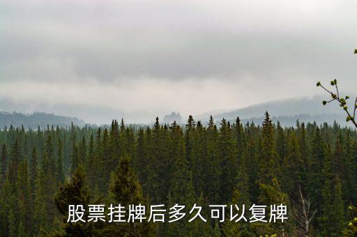 上汽集團(tuán)股票什么時(shí)候復(fù)牌，600303什么時(shí)間復(fù)牌