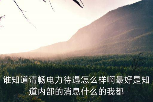誰(shuí)知道清暢電力待遇怎么樣啊最好是知道內(nèi)部的消息什么的我都