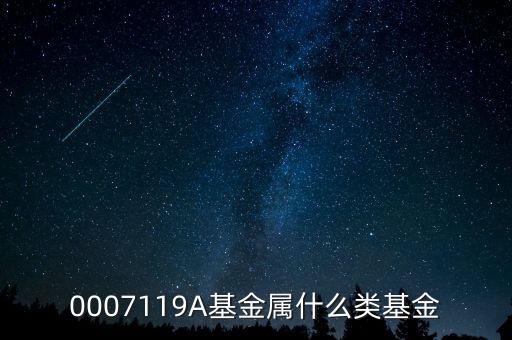 000974基金屬什么風(fēng)格，0007119A基金屬什么類基金