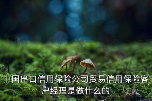 中信?？蛻?hù)經(jīng)理干什么，中國(guó)出口信用保險(xiǎn)公司貿(mào)易信用保險(xiǎn)客戶(hù)經(jīng)理是做什么的