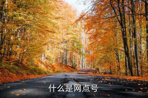 什么是網點號