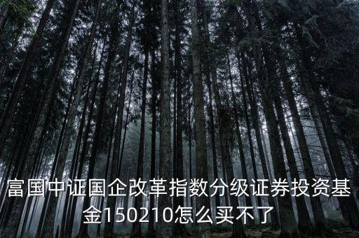 150210買的什么股票，富國(guó)中證國(guó)企改革指數(shù)分級(jí)證券投資基金150210怎么買不了