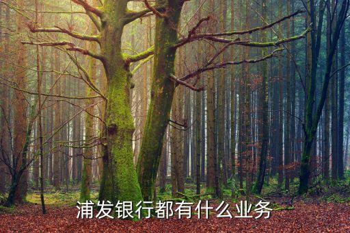 浦發(fā)銀行都有什么業(yè)務
