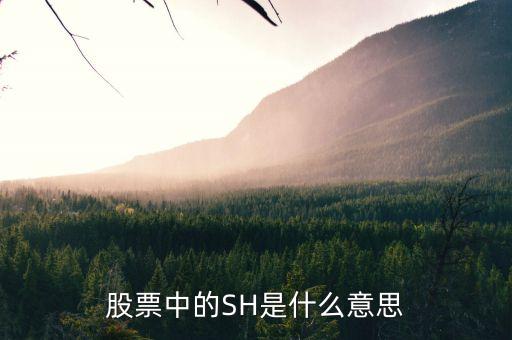 股票中SH6代表什么，股票里的這些都代表什么意思AH NH CDP NL AL
