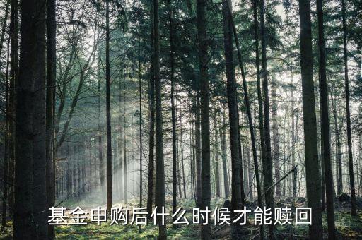 000632基金什么時(shí)候可以贖回，買基金什么時(shí)候可以贖回