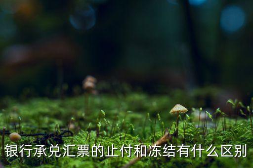 凍結(jié)止付什么意思，銀行承兌匯票的止付和凍結(jié)有什么區(qū)別