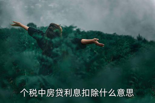 房貸利息抵扣個稅什么意思，個稅中房貸利息扣除什么意思
