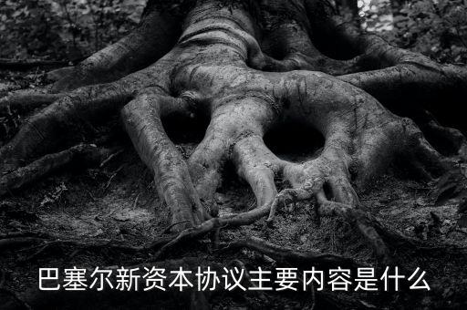 新資本協(xié)議是什么，新巴塞爾資本協(xié)議的介紹