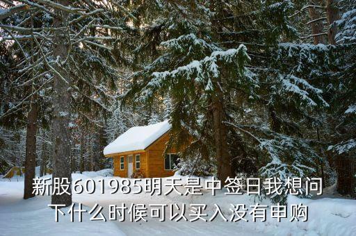 601985什么時(shí)候上市的，中國(guó)核電什么時(shí)候上市中國(guó)核電股票代碼多少