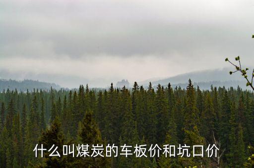 什么叫煤炭坑口價(jià)，煤炭坑口價(jià)格是什么意思呀有知道的好心人請(qǐng)給予答復(fù)