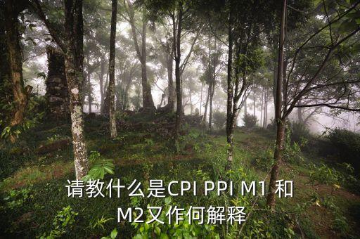 m2指數(shù)是什么，請教什么是CPI PPI M1 和 M2又作何解釋