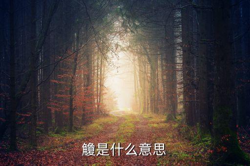 借給側(cè)是什么意思，更衣是什么意思