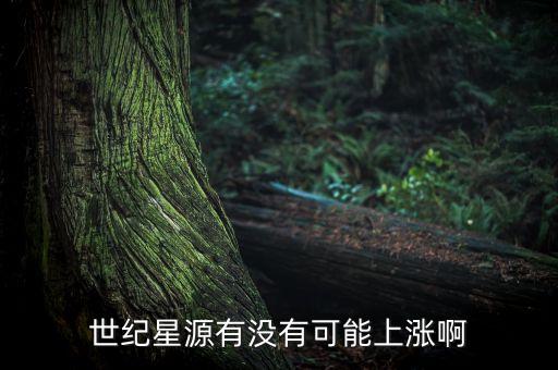 世紀(jì)星源股為什么不會(huì)漲，世紀(jì)星源有沒有可能上漲啊