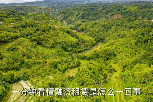 什么是內(nèi)資融資租賃試點企業(yè)，內(nèi)資試點融資租賃公司設立流程是怎樣的