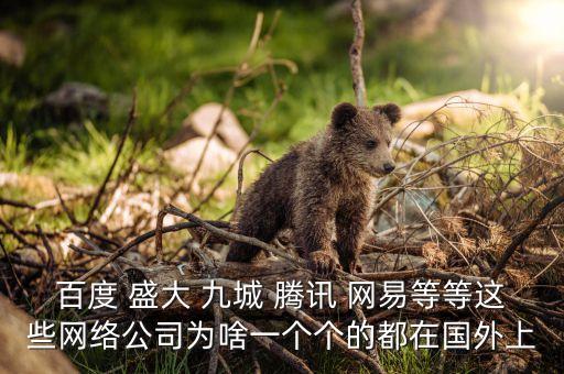 盛大為什么上市，百度 盛大 九城 騰訊 網(wǎng)易等等這些網(wǎng)絡(luò)公司為啥一個(gè)個(gè)的都在國(guó)外上