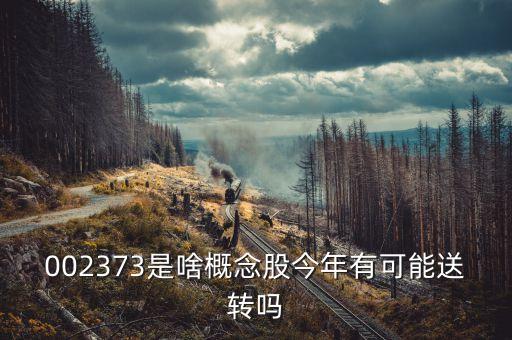 300377是什么概念股，002373是啥概念股今年有可能送轉嗎