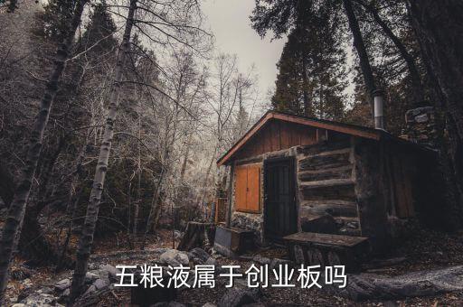 000858五糧液是什么股，五糧液屬于創(chuàng)業(yè)板嗎