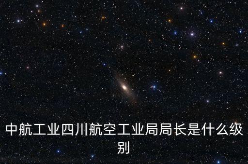 中航王斌什么級別，中航工業(yè)陜飛集團(tuán)董事長是什么行政級別