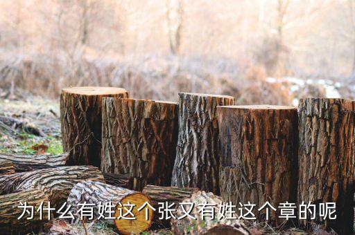 中石油黃炎什么級別，大家知道有誰姓耜