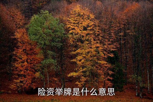 保險(xiǎn)資金舉牌是什么意思，險(xiǎn)資舉牌是什么意思