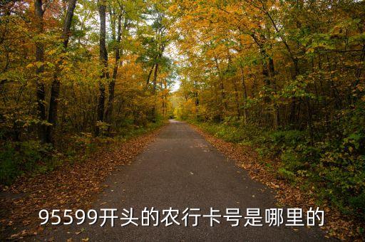 農(nóng)業(yè)銀行95599開頭的是什么卡，95599開頭是什么銀行的卡