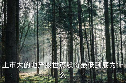 世茂股份股價(jià)為什么這么低，上市大的地產(chǎn)股世茂股價(jià)最低到底為什么