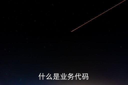 工商業(yè)務(wù)代碼是什么意思，businesscode是啥意思