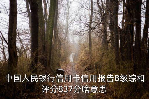 中國人民銀行信用卡信用報(bào)告B級(jí)綜和評(píng)分837分啥意思