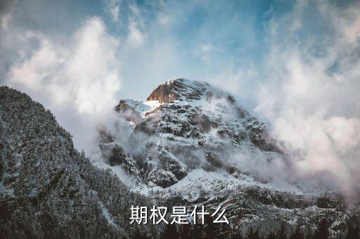 授予期權(quán)是什么意思，無(wú)償授予股票期權(quán)是什么意思