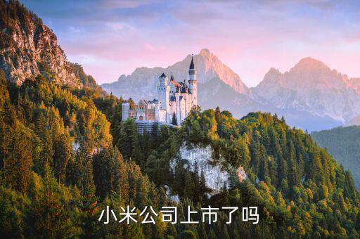 11月5什么手機上市公司，除了小米還有哪些手機公司上市了