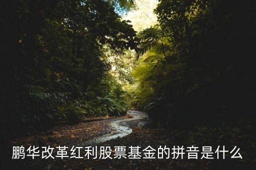 鵬華001188持什么倉，鵬華改革紅利股票基金的拼音是什么