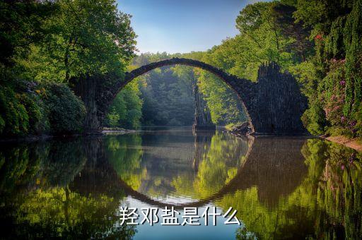 鄧鈉鹽是什么，RNA鈉鹽是什么意思