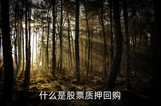 什么是股票質(zhì)押式回購業(yè)務，股票質(zhì)押式回購交易的定義