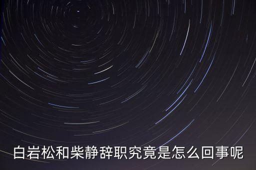 柴靜為什么辭職，白巖松和柴靜辭職究竟是怎么回事呢