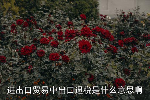 押匯退回什么意思，進(jìn)出口貿(mào)易中出口退稅是什么意思啊