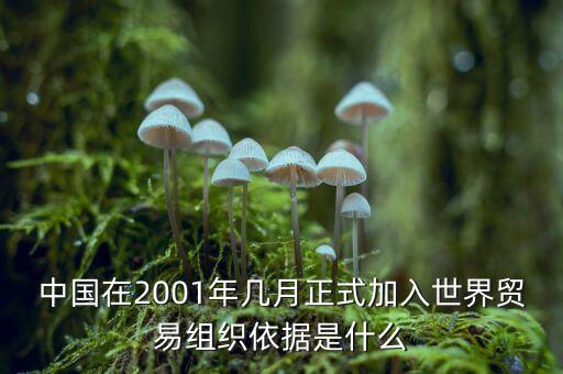 中國是什么時候加入gatt，中國是什么時間加入的