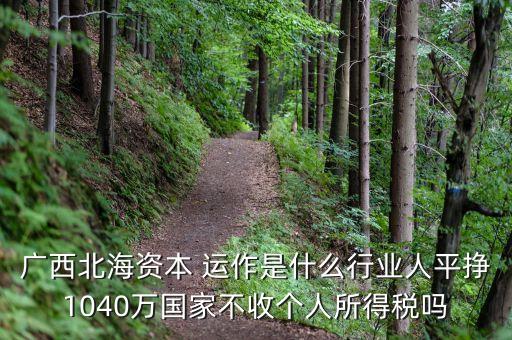 廣西北海資本 運(yùn)作是什么行業(yè)人平掙1040萬國家不收個人所得稅嗎