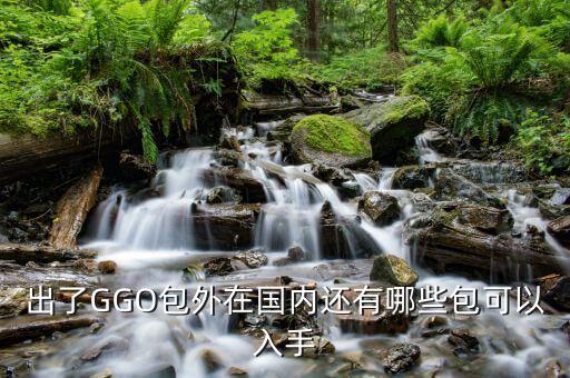 在中國(guó)還可以買(mǎi)什么，出了GGO包外在國(guó)內(nèi)還有哪些包可以入手