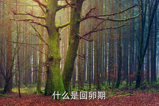 什么是回溯期，什么是回卵期